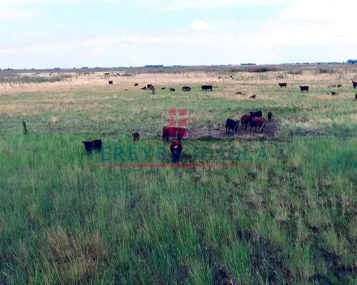 Excelente Campo Mixto en Venta. Juan N Fernandez - Necochea