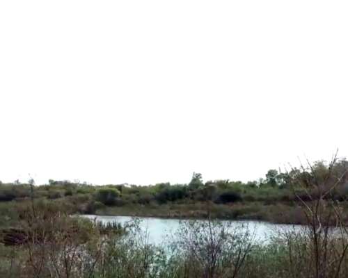 Vendo Lote de 30 Hectáreas Sobre RN 95 Sáenz Peña Chaco