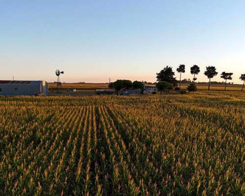 Lindo Campo Estilo Chacra