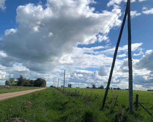 Chacra en Benito Juárez