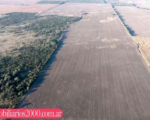 Córdoba la Francia 150 Has Agricolas
