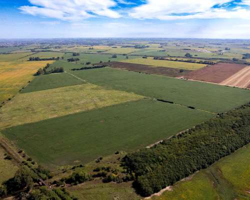 Campo en Venta Arrecifes 93ha