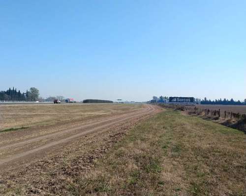 Campo de 6,29 Ha Sobre Autopista ROS - BS AS