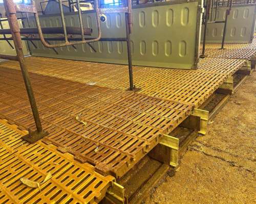 Vendo 12 Parideras Completas