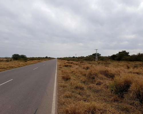 Nueva Esperanza, Pellegrini, Santiago del Estero - 700 Ha
