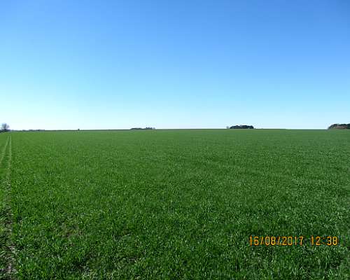 Santa Teresa - 178 Ha - Santa FE