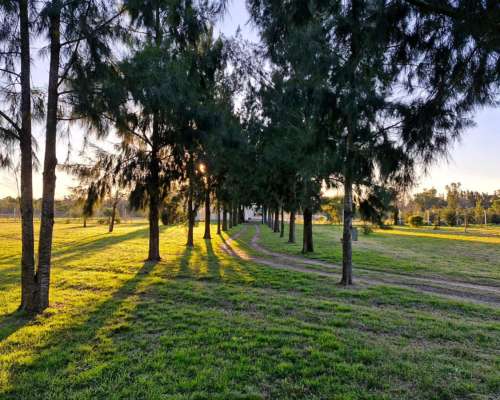 Encargado de Campo- Casero