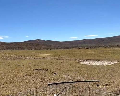 Campo Ganadero Sobre Ruta Provincial N°62 Meseta Chubut.