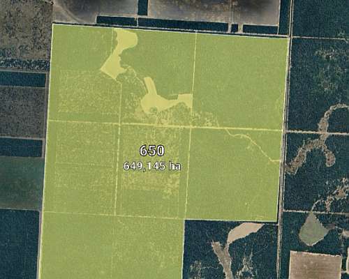 650 Hectáreas Título de Propiedad