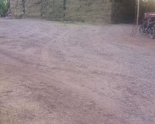 Vendo Fardos y Rollos Alfalfa