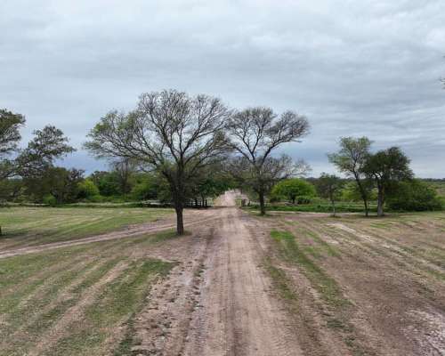 Clodomira, Banda, Santiago del Estero - 4.330 Ha