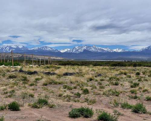 Malargue, Mendonza - 200 Ha