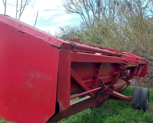 Girasolero Mainero de 16 a 52