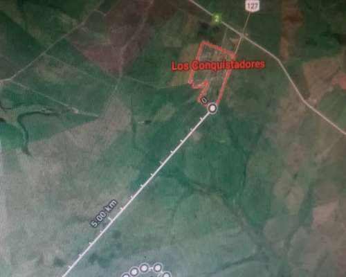 162.40 Ha de Campo Mixto
