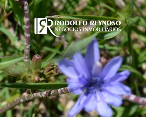 Terreno en Colón, Entre Ríos