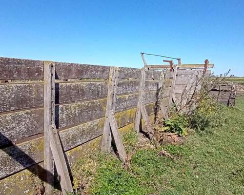 Venta Campo Ganadero Rauch 617 Ha con 150 Ha Agrícolas