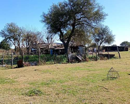 Vendo Campo 23 Has Vera Santa FE Sobre Ruta 3 (toba)