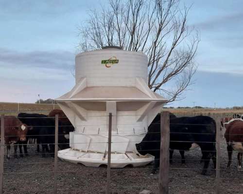 Silos Comedero Autoconsumo Verticales 9.000 KG. (12 M3)
