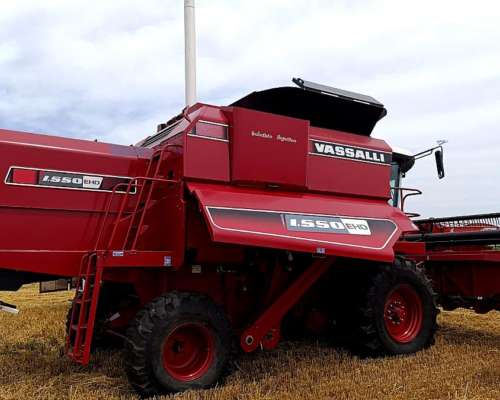 Vassalli 1550 EHD 2023. 30 Pies
