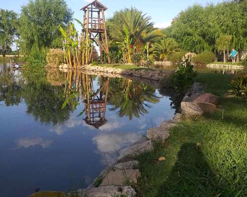 70 Has Agrícolas Suelo 1 con Casco Impecable.