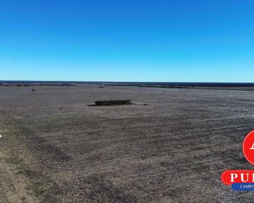 1000 HA. Agrícolas en Alquiler