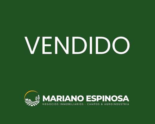 Paraje Oliden - 220 Ha - Buenos Aires