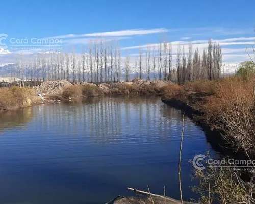 Se Vende Finca de 170ha con Plantaciones de AJO en San Carlo