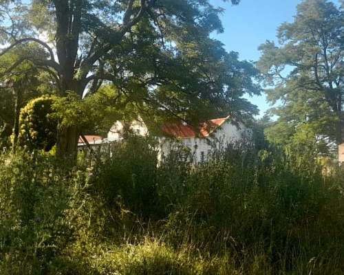 Campo Agricola 190 Ha AYA