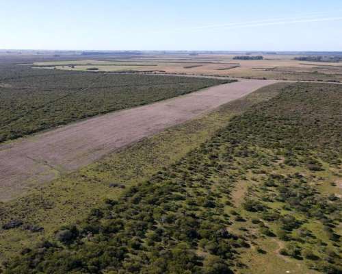 915 Hectáreas Mixtas con Todas las Mejoras, Gualeguaychú.