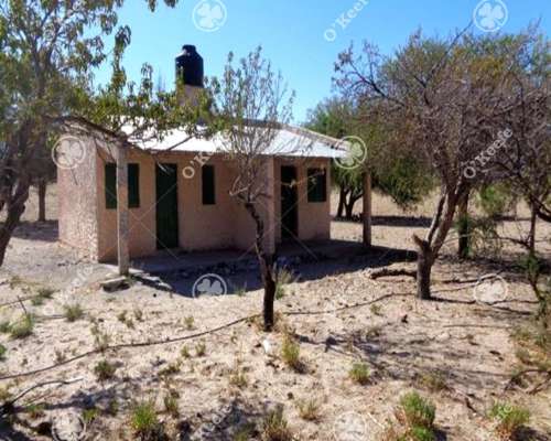 Campo en Venta de 357 Has Santa Maria, Catamarca