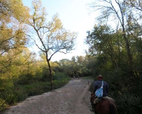 Selvas del Rio de ORO - 1432 Ha - Chaco