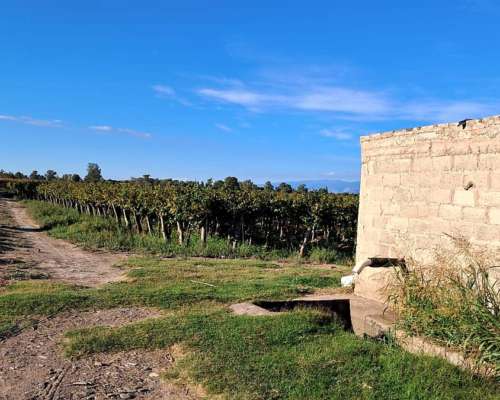Vendo o Alquilo Finca en Santa Lucía, San Juan