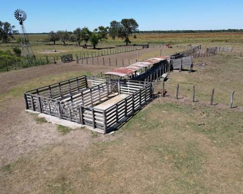 Ganadero 3220 Ha - ( 420 Agrícolas ) Reconquista - Sta. FE