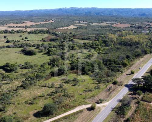 Lote de 2 Hectáreas con Arroyo Zona los Molinos, Sobre Ruta