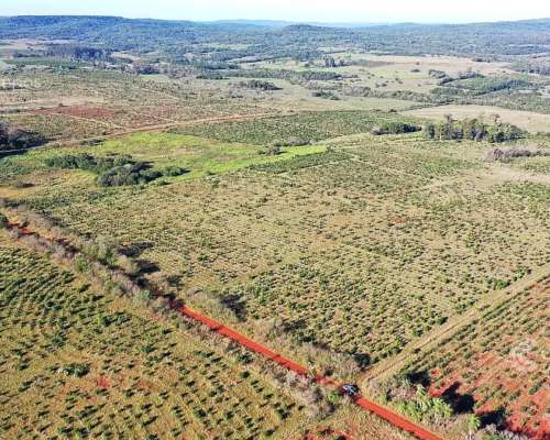 Se Vende Chacra de 48 Ha en Apostoles Misiones. 28 Ha con YE