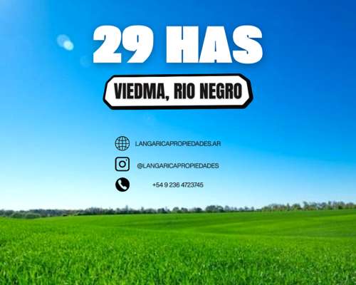 Chacra 29 Hectáreas Viedma