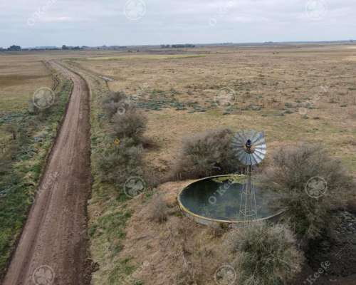 Campo en Venta de 210 Has en Dolores