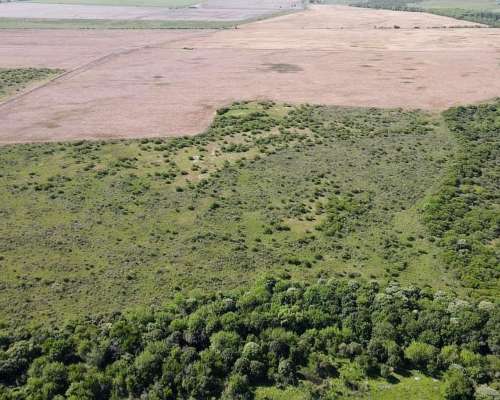 1500 Has Ganaderas con 200 Has de Chacra, Gualeguaychú