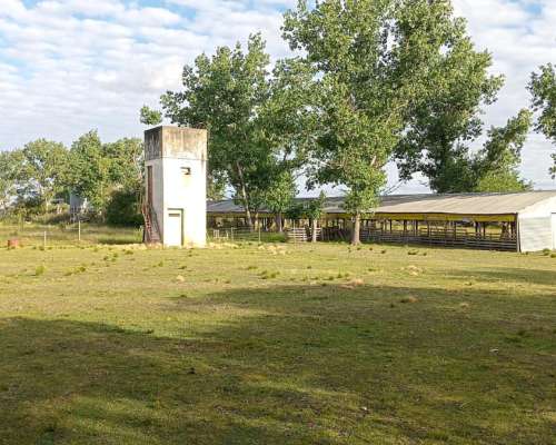 Granja Avícola. Nogoyá Entre Rios