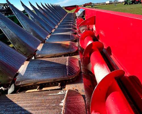 Cabezal Maicero Mainero 2008 - 18 a 52 - Usado.