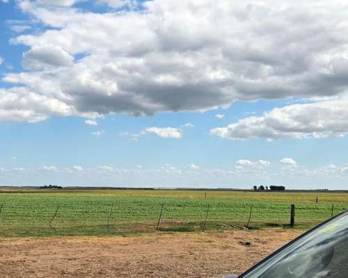 800 Hectareas en Venta