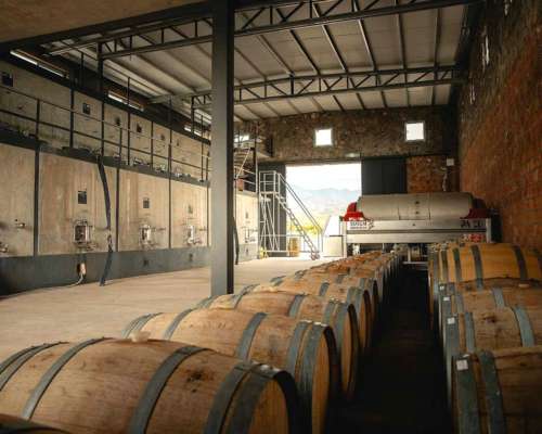 Pcia. de Salta - San Carlos 315 Ha