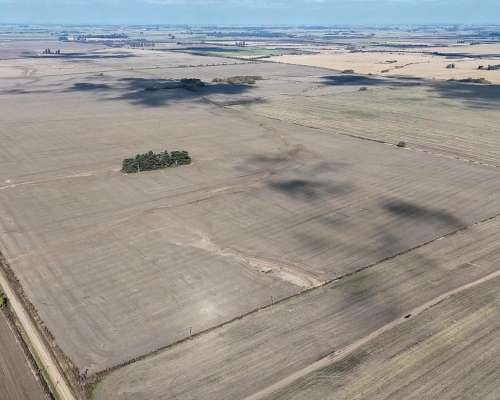 Campo de 120 Hectáreas Agrícola