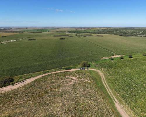 Las Vizcacheras, Pedernera, San Luis - 266 Ha