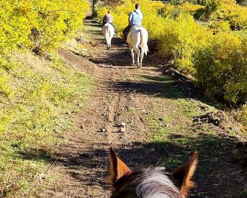 Venta Campo 291 Hectareas en Lago Rivadavia Cholila Chubut