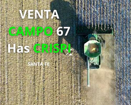 Venta Campo Crispi 67 Has