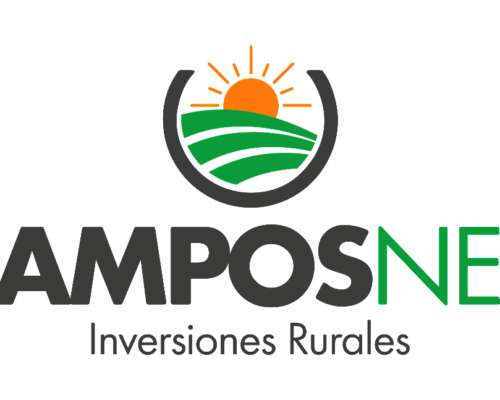 Campo Agrícola 168 Has - a 8 km de San Bernardo Chaco