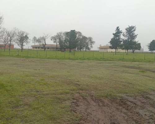 Campo Sobre Ruta en Saladillo