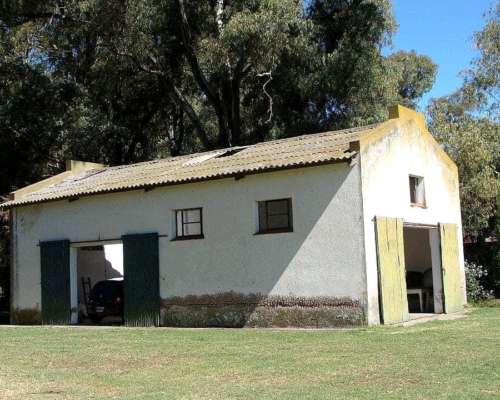 600 Has. Mixtas las Flores