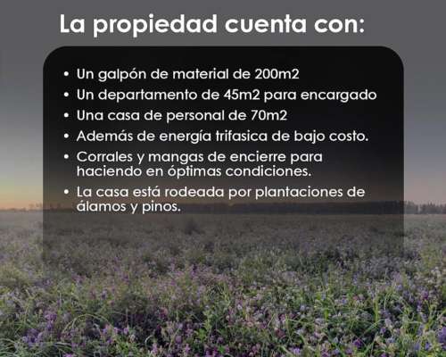 Vendo Campo Bajo Riego PTO X Hacienda